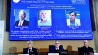 Three people won the Nobel Prize in Physics for their work on climate change.