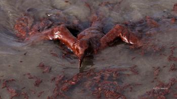 Cleanup continues near California's Huntington beach after an oil spill leaked nearly 126,000 gallons of crude oil.