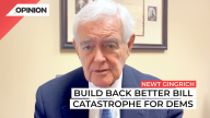 Gingrich says Build Back Better will will be a catastrophe for Dems.
