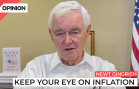 Newt Gingrich says inflation is here to stay.