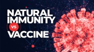 Some experts say a combination of natural immunity and receiving a COVID-19 vaccine can create the strongest immune system response.