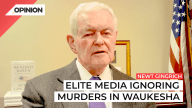 Newt Gingrich says left media ignoring a key fact in Waukesha parade crash.