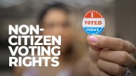 Non-citizens are gaining voting rights in local elections in New York and elsewhere, igniting debate about which members of society can cast ballots.