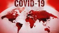 The WHO announced a COVID-19 case record.