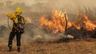 A UN report predicted an increase in wildfires by the end of the century.