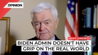 Newt Gingrich says Biden doesn't have a grip on the real world
