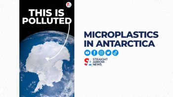 Researchers find microplastics in Antarctica snow