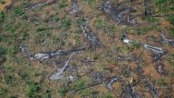 The Amazon rainforest set a record for deforestation in the first half of 2022.