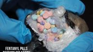 Customs and Border Patrol Area Port Director of the Port of Nogales, Arizona reported millions of fentanyl pills have been seized in just the past week.