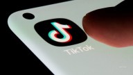 Democratic politicians have gone to TikTok in an effort to win over voters ahead of the election while former Lawmakers lobby for the company.