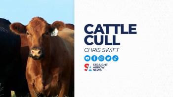 Cattle ranchers are increasingly selling off their herds, including breeding stock, as widespread drought and heat waves challenge operations.