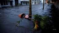 The aftermath of Hurricane Ian has left parts of the Sunshine State in shambles as streets flood, power lines are down and recovery efforts begin.