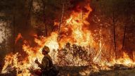 Over the weekend, at least 19 different wildfires in Oregon and Washington prompted evacuations and burned more than 300,000 acres.