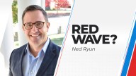 Political expert Ned Ryan said if Republican Tudor Dixon upsets Gretchen Whitmer in Michigan, it would be a 'staggering rebuke' for Democrats.