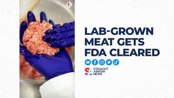The FDA has given the green light for a U.S. company to produce lab-grown meat that is created from live animal cells.