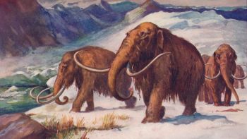 Treasure hunters in New York are looking in the city’s East River for a billion dollars' worth of mammoth tusks.