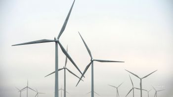 Scotland's power sector is coming under fire after it was revealed that dozens of giant wind turbines have been powered by fossil fuels.
