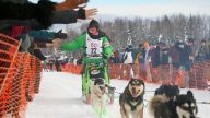 The roughly 1,000-mile race presents a physical challenge for humans and dogs, who spend more than a week in the Alaskan wilderness.