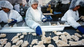 Tyson Foods has announced plans to lay off nearly 1,700 employees and will be closing two chicken plants in May.