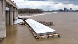 10 barges broke loose from their tugboat in the Ohio River. One of them is carrying 1,400 tons of methanol.